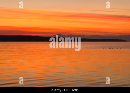 Yellowstone Lake bei Sonnenaufgang, Yellowstone NP, Wyoming, USA Stockfoto