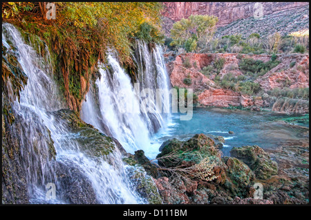 Navajo-Fälle - Havasupai Indian Reservation, Grand Canyon AZ Stockfoto