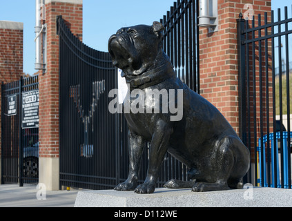 Yale Bulldog vor Yale Bowl, Yale University, New Haven CT Stockfoto