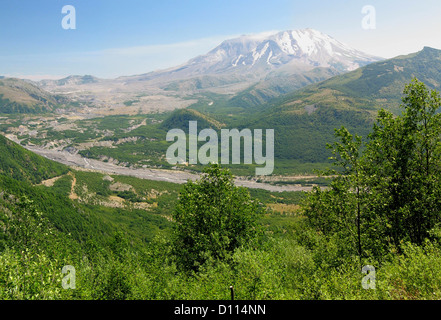 Mount St. Helens im US-Bundesstaat Washington, USA mit den Toutle River vom Hwy 504 Eintritt in den Nationalpark gesehen. Stockfoto