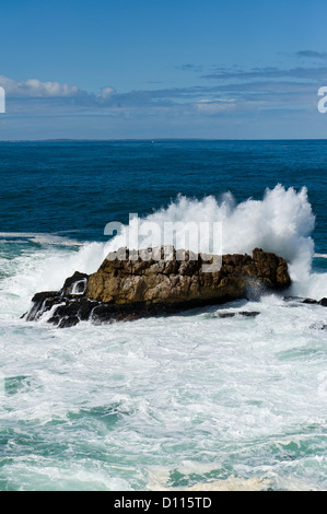 Welle, crushing auf Felsen, Hermanus, Südafrika Stockfoto