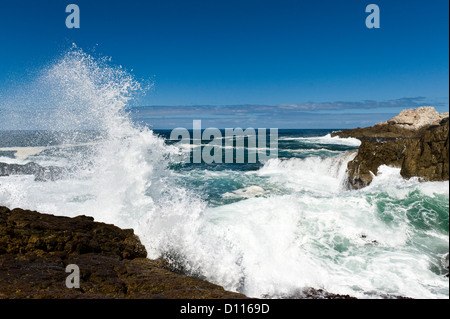 Welle, crushing auf Felsen, Hermanus, Südafrika Stockfoto