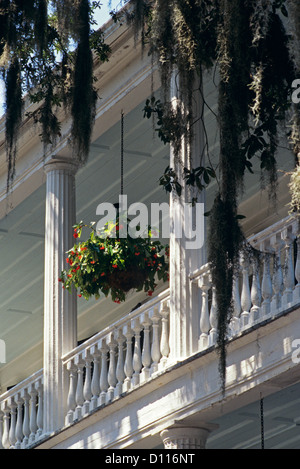 BEAUFORT SC SPANISCHE MOOS VON RHETT HOUSE INN Stockfoto