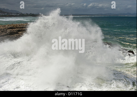 Welle, crushing auf Felsen, Hermanus, Südafrika Stockfoto