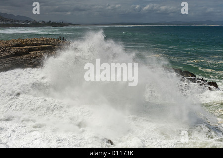 Welle, crushing auf Felsen, Hermanus, Südafrika Stockfoto