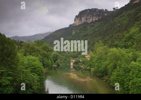 Blick auf die Gorges du Tarn mit den Fluss Tarn und die zerstörte Brücke la Muse. In der Nähe von Le Rozier, Lozère, Frankreich. Juni. Stockfoto
