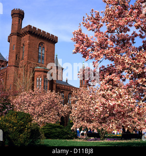 2000ER JAHRE DIE BURG SMITHSONIAN INSTITUTION FRÜHLING WASHINGTON DC USA Stockfoto