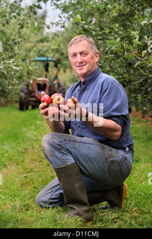 Apfelwein Herstellung Landwirt Mike Johnson in Broome Farm in der Nähe von Ross-on-Wye UK wo gibt es freie Campen und Verkostung zu freiwilligen Apple p Stockfoto