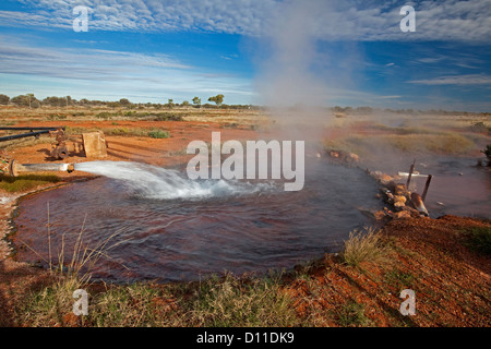 Dampfend heißes Wasser aus großen artesischen Becken sprudelt in Naturbad am Thargomindah, Queensland, Australien outback Stockfoto