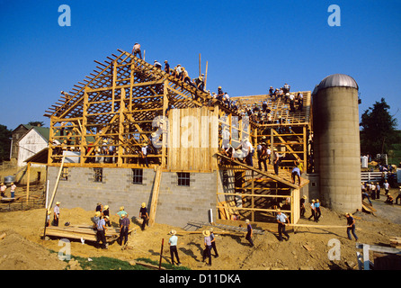 1980ER JAHRE BAU EINER SCHEUNE AMISH COUNTRY PENNSYLVANIA USA Stockfoto