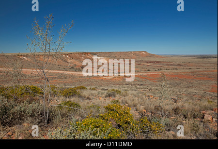 Australische Outback Weg in Ferne über weiten trockenen Wüstenlandschaft mit Tafelbergen Sturt-Nationalpark, northern NSW, Australia Stockfoto