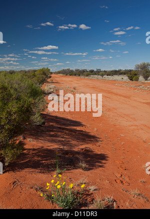 Lange rote australische Outback Straße gesäumt von niedrigen einheimischer Vegetation und Wildblumen erstreckt sich über die Prärie zum Horizont unter blauem Himmel in New South Wales Stockfoto