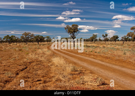 Verfolgen Sie in australischen outback Ebenen zum See Houdraman in der Nähe von Stadt Quilpie in Südwest-Queensland, Australien Stockfoto