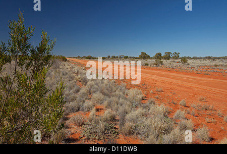 Australische Outback Straße über weite Ebenen und grenzt mit niedrigen einheimischer Vegetation im Outback NSW Australia Stockfoto