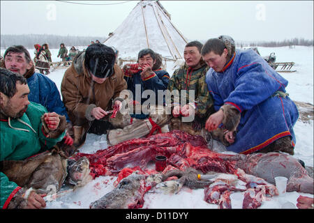 28. Februar 2004 - Russland - Nadymsky Region von jamalo-Nenzen autonomer Okrug,Russia.The Nentsy (auch bekannt als die Yurak) sind eine der fünf Samoyedic Völker, darunter auch die Entsy (Yenisei), Nganasany (Tavgi), Sel'kupy und Kamas... Obwohl viele Aspekte ihres Lebens geändert haben, die Nentsy noch angewiesen auf ihre traditionelle Weise des Lebens, die Jagd, Rentierzucht und Angeln ist... Im Bild: Alltag der Nentsy. (Kredit-Bild: © PhotoXpress/ZUMAPRESS.com) Stockfoto