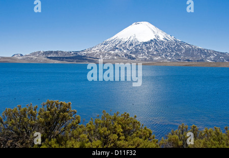 Berglandschaft mit schneebedeckten Vulkan Parinacota steigt hoch über ruhige blaue Wasser des Sees Chungara im Norden Chiles Stockfoto