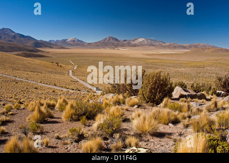 Riesige Wüstenlandschaft in Anden im Volcan Isluga National Park mit Auto unterwegs weit unten zu fernen Gipfel Stockfoto