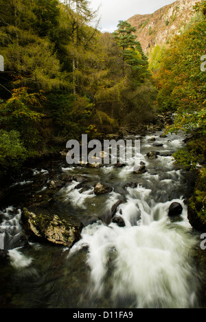 Herbst: Die Glaslyn Fluss, Abergaslyn, Beddgelert Gwynedd, Snowdonia Nord Wales UK Stockfoto