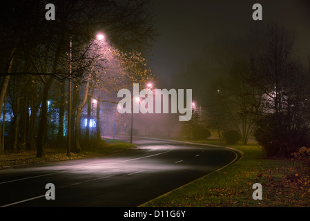Neblig, Misty Straßenbeleuchtung in der Nacht Stockfoto