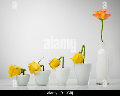 Diagramm aus Rosenblüten Vasen vor grauem Hintergrund gebaut Stockfoto