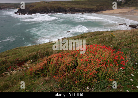 Poldhu Strand in der Nähe von Mullion Dorf, Cornwall County; England; UK Stockfoto