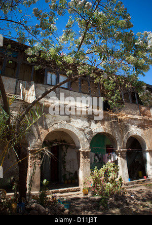 Altes Haus In Harar, Äthiopien Stockfoto