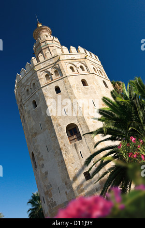 Torre Del Oro, der goldene Turm, Sevilla, Spanien. Stockfoto