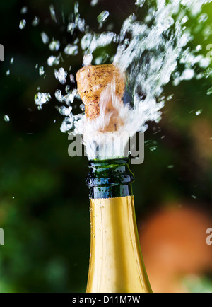 Champagner-Flasche eröffnet mit Korken fliegen Stockfoto