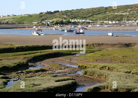 Salzwiesen und Teifi Mündung Gezeiten Bäche Ebbe St Dogmaeils Pembrokeshire Wales UK Stockfoto