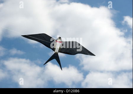 Berlin, Deutschland, Drachenfest in den Gärten der Welt in den Erholungspark Marzahn Stockfoto