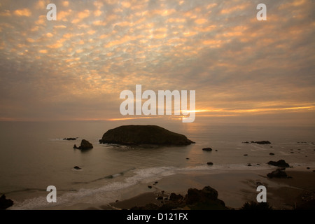 OR00273-00... OREGON - Sonnenuntergang an der Pazifikküste auf Harris Beach State Park in Brookings. Stockfoto