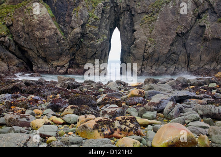 OREGON - bunte Felsen am Ufer in der Nähe von einem engen Bogen auf einer felsigen Landzunge im Harris Beach State Park in Brookings. Stockfoto