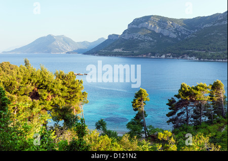 Sommermorgen Adria Küste Meerblick mit Pinien am Ufer (Peljesac, Kroatien) Stockfoto