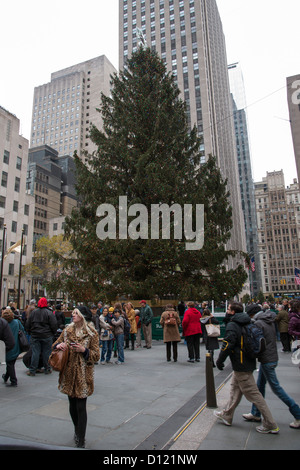 Weihnachtsbaum Rockefeller Center New York USA Stockfoto