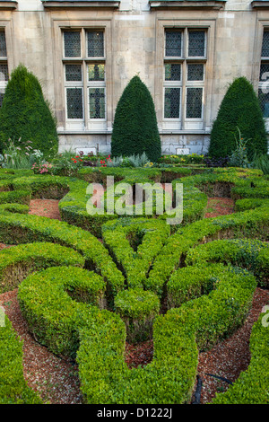 Gepflegten Buchsbaum im formalen Garten im Musée Carnavalet im Marais, Paris Frankreich Stockfoto