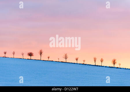 Schnee und am späten Nachmittag Licht schafft schön krasse Landschaften in den sanften Hügeln bei Therfield in der Nähe von Royston Hertfordshire UK 5. Dezember 2012.  Das Ackerland wurde in einer Schicht aus Schnee bedeckt, nach eine Bande von Schnee den Home Counties, East Anglia und vielen anderen Teilen des Vereinigten Königreichs betroffen.  Die Prognose ist für kälteres Wetter zu folgen. Stockfoto