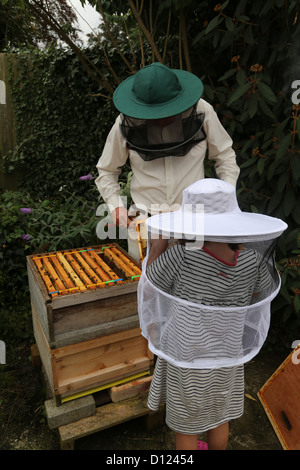 6-jährige tragen Imker Hut betrachten den Bienenstock mit Imker Holding Frame Surrey England Stockfoto