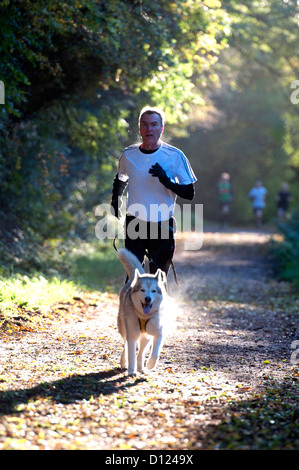 Leamington Parkrun, Läufer mit Hund an der Leine CaniX Stockfoto