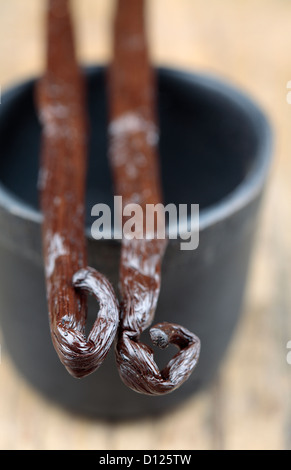 Vanilleschoten in kleinen schwarzen Topf Stockfoto