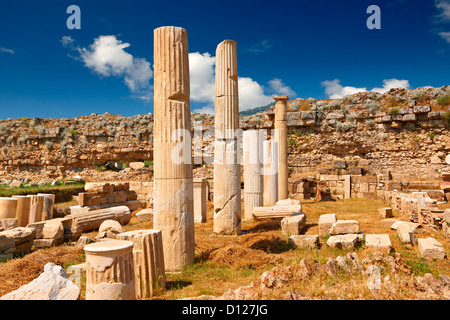 Spalten um das Heiligtum des Artimis mit der Agora, Magnesia am Mäander Arcaeological Website, Türkei Stockfoto