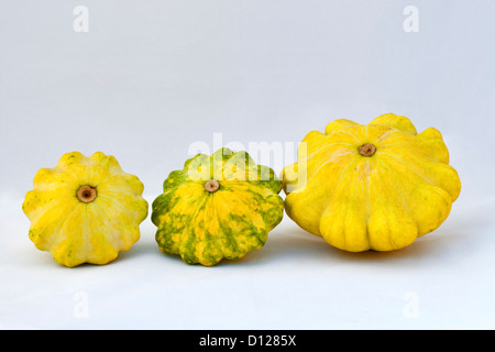 Set von drei gelbe Zucchini mit grünen Pattypan auf weißem Hintergrund Stockfoto