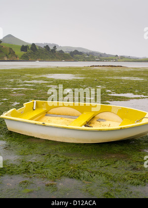 Einen kleinen, gelben Ruderboot sitzt auf dem Boden der Bucht, wie die Flut von darunter erloschen ist. Portobello, Neuseeland. Stockfoto