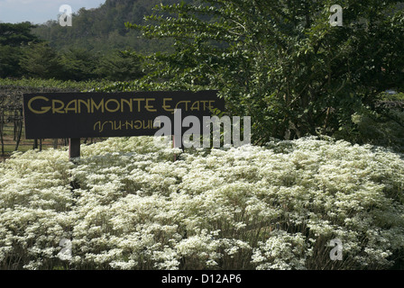 GranMonte Estate Asoke Tal Khao Yai Thailand Stockfoto