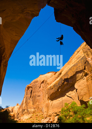 Eine Sportlerin Rappeling eine trockene Utah Slotcanyon Wasserfall hinunter; Hanksville Utah Vereinigte Staaten von Amerika Stockfoto