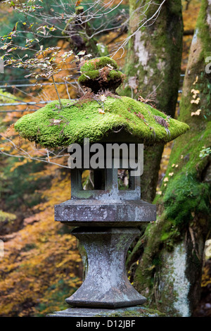 Steinlaterne in Nikko, Japan Stockfoto