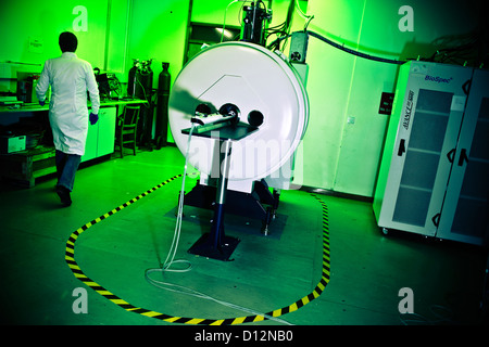 Techniker oder Wissenschaftler in Raum mit Kleinkaliber-Magnet-Resonanz-Tomographie (MRT)-Scanner, in dem kleinen Subjekte gescannt werden. Stockfoto