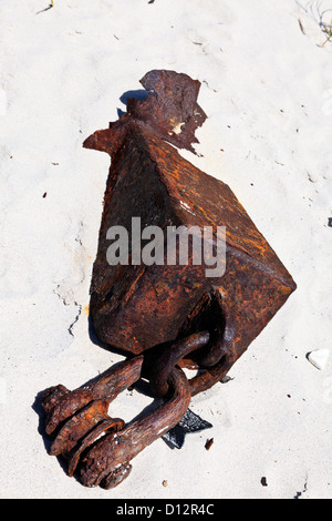 Rostige Anker mit Kette und Schäkel am Strand liegen Stockfoto