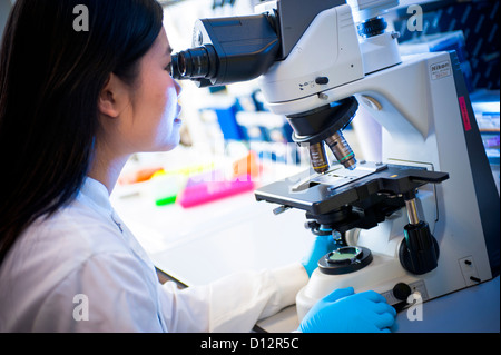 Asiatische Wissenschaftlerin verwendet ein Mikroskop, um Zellen zu untersuchen Stockfoto