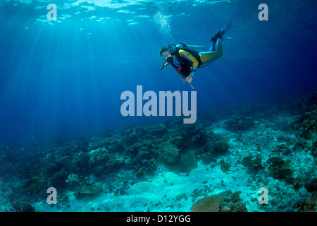 Tauchen im Korallenriff, Mimaropa, Mulaong, South China Sea, Philippinen, Asien Stockfoto