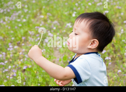 Asiatisches Baby Boy bläst einen Löwenzahn im Frühling. Stockfoto